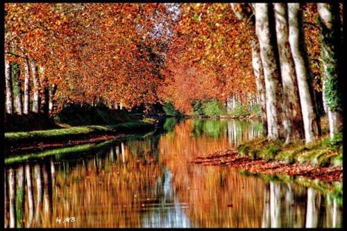 Casa Du Bassin Bed & Breakfast Castelnaudary Luaran gambar